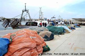 11 SANTA POLA PORT DE PECHE (116)